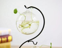 Vase à fleurs en verre suspendu au design moderne Support pour plantes hydroponiques avec support en métal géométrique Support à fleurs en verre de cristal