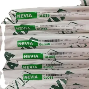 Doppelseitig beschichtetes Kunstdruck papier der Marke Nevia in Rollen-/Blatt verpackung