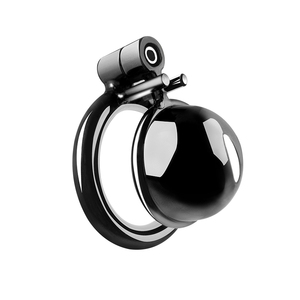 Boîte personnalisée gratuite-mâle <span class=keywords><strong>petit</strong></span> métal <span class=keywords><strong>pénis</strong></span> serrure oiseau trompette chasteté Cage ceinture coq anneaux esclave Bondage retenue jouet - Product Image 1