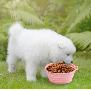 Mangkuk Lipat Silikon Portabel untuk Makan Kucing Anjing, Mangkuk Hewan Peliharaan untuk Perjalanan Luar Ruangan, Mangkuk Lipat Hewan Peliharaan Berwarna-warni - Product Image 3