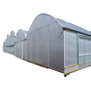 ONE-One Agricultura gran invernadero marco de metal multispan verduras cultivo túnel multi span película invernadero