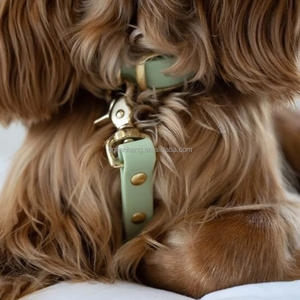 Collier de chien en PVC en gros de fabricant chinois avec laisse de style tactique souple crochet à boucle en laiton revêtement de sangle exclusif - Product Image 6