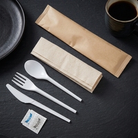 Ensemble de couverts en CPLA certifié compostable DIN/BPI/OK, couteau/fourchette/cuillère + serviette, couleur et logo personnalisés, boîte