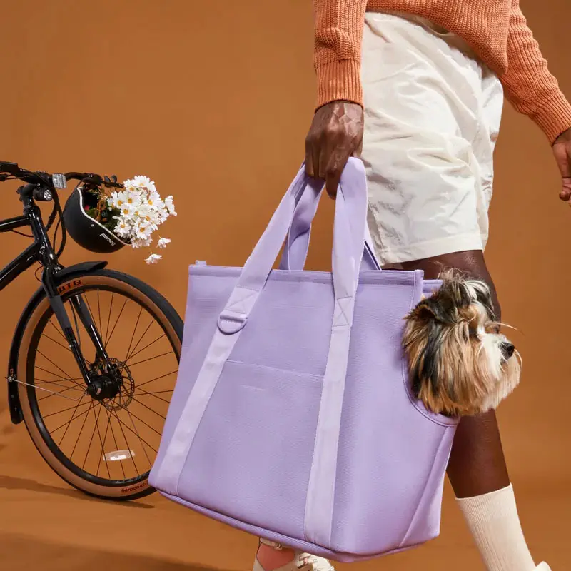 Seyahat tote çanta tuval taşıyıcı sling omuz Pet köpek taşıma çantası seyahat kedi taşıyıcı Tote el çantası çanta küçük için