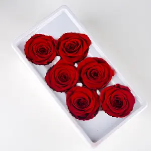 Scatola regalo di fiori eterni di grado B sei fiori rosa artificiale essiccata immortale Rose di testa conservate per san valentino di nozze