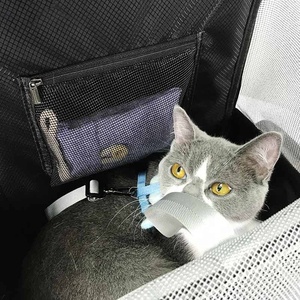 compañías espera los gatos y los perros transpirable gato mochila adecuado olor prueba perro gato mascota mochila - Product Image 6