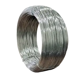 Topone SUS302 WPA S-Co 1.80mm Stainless Steel Spring Wire