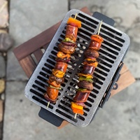 Mini barbecue de camping au charbon de bois, en fonte, portable, cuisinière de barbecue d'extérieur