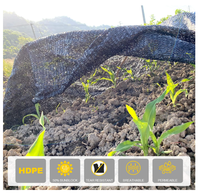 Rouleau de filet d'ombrage en plastique HDPE pour serre, pare-soleil de jardin noir, service de découpe et de traitement sur mesure