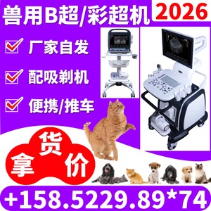 Appareil d'échographie vétérinaire portable Kaier avec Doppler couleur pour le diagnostic des chiens, des chats et des animaux de compagnie - Product Image 4