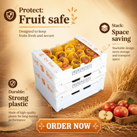 Boîte d'emballage personnalisée en gros pour fruits et légumes frais, pliable, pour le stockage en plastique, matériaux recyclés, épaisseur 3-5 mm