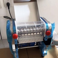 Machine à nouilles miniature pour la maison, facile à utiliser, petite machine à faire des nouilles à domicile