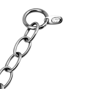 304 Acero inoxidable clásico sólido corto ovalado enlace venta al por mayor collar de perro cadena resistente a la intemperie y masticar suministros de entrenamiento para mascotas - Product Image 3