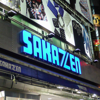 Lettres en acier inoxydable 3D personnalisées Kelly, éclairées par LED, pour montage mural extérieur, enseigne commerciale, éclairage décoratif IP65