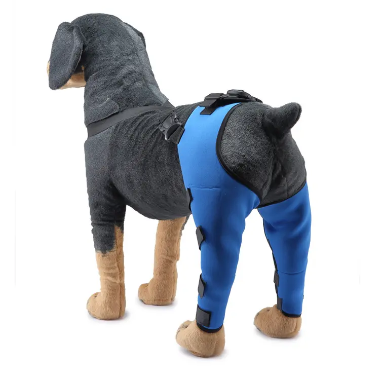 Dog Knee Brace Neoprene Dog Leg Brace Support for Hind Leg Wholesale Adjustable Protector Wraps Dog Pad