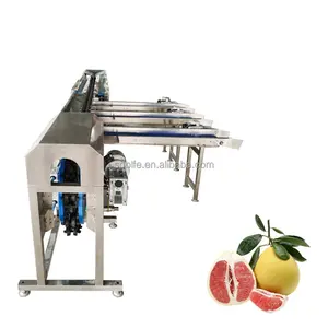 제조 업체 자동 석류 무게 분류 기계 감자 칠리 분류 키위 과일 무게 그레이딩 기계