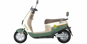 Scooter électrique Garow 600w 800w 1200w 2 places pour adultes, vitesse 40 km/h, autonomie 40 km, pour la ville - Product Image 4