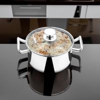 Plat à casserole portable en acier inoxydable avec couvercle en verre idéal pour le stockage des aliments Roti parfait pour l'exportation domestique à un prix abordable