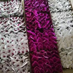Commercio all'ingrosso della fabbrica <span class=keywords><strong>N</strong></span>-0230 reale tocco artificiale orchidea fiori orchidea bianco in lattice orchidea per la decorazione - Product Image 1