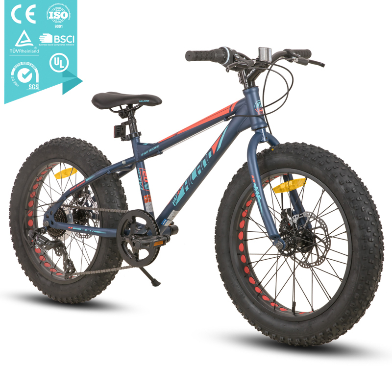 JOYKIE 7 Speed Step Through Frame