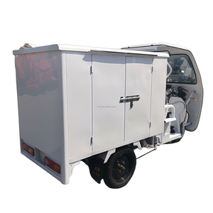 Haute qualité personnalisé à trois roues adulte électrique Cargo <span class=keywords><strong>Jet</strong></span> <span class=keywords><strong>Ski</strong></span> longue portée tricycle électrique au prix d'usine - Product Image 4