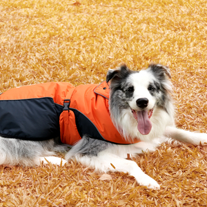 Abrigo para mascotas de tela de poliéster OEM ODM 100%, abrigo Cálido impermeable para perros grandes en naranja para deportes al aire libre, uso informal para invierno - Product Image 6