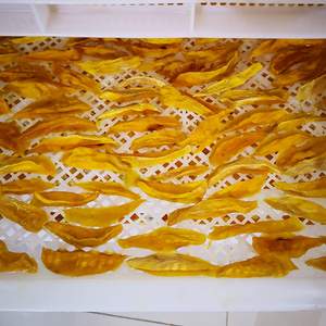 Secador eléctrico de fideos pequeño, máquina de secado de pasta, precio barato, gran oferta - Product Image 4