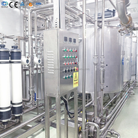 Ligne de production complète clé en main pour le remplissage de jus de mangue, de raisin et de pêche pour petites entreprises