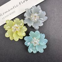 Aksesoris Resin Kristal Bunga DIY untuk Tas, Anting, Bros, Hiasan Pakaian, Jepit Rambut, Topi, Sepatu, Aksesoris Olahraga, Empat Musim
