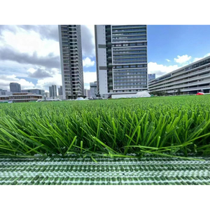 Đào tạo gói sân bóng đá, cỏ Chất lượng cao + Dòng đánh dấu + Tủ lưu trữ - Product Image 3