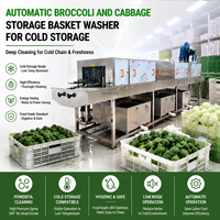 Machine de lavage entièrement automatique en acier inoxydable pour plateaux et caisses à fruits, machine de lavage de caisses à fruits à deux canaux