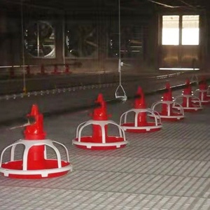 Gia cầm tự động Feeder Pan hệ thống cho vịt - Product Image 1