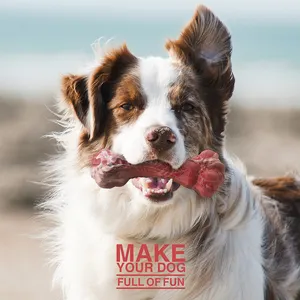 Natural Rubber Dog Pet Chew Toys Bone Shape Dog Toy