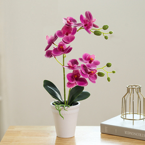 Phalaenopsis Kunstmatige Ingemaakte Kantoordecoratie Kleine Potfotografie Bonsai Groene Plant Decoratieve Potten - Product Image 6