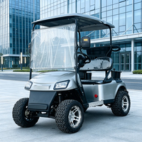 Carrito de Golf Eléctrico OEM de 2 Plazas con Motor de Alta Velocidad para Todoterreno