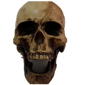 Resin realistic human bone Halloween Day of the Dead ornament statue