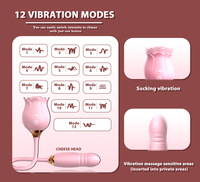 Vibrateur à succion rose à 12 modes, stimulateur clitoridien et point G, jouet double extrémité pour femmes