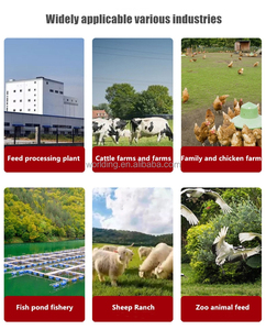 Broyeur de granulés d'aliments pour volailles, poulets, canards, oies, bétail, poissons, crevettes, bovins, chevaux, moutons, porcs, lapins, granulateur - Product Image 6