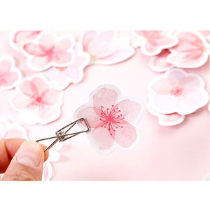 45 יח'\קופסא דובדבן חמוד פריחת סיפור מודבק ילדה דבקה ילד גלידות מדבקות עצמיות דקורטיביות - Product Image 5