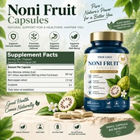 Capsules de Noni à Marque Blanche Extrait 20:1 Soutien Immunitaire Antioxydant Végétalien OEM ODM
