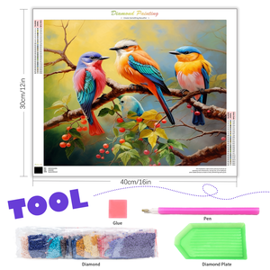 Diy diamant borduurwerk vogel volledige ronde dier diamant schilderij voor woondecoratie ambachten 30x40cm/12x16inch zonder - Product Image 2