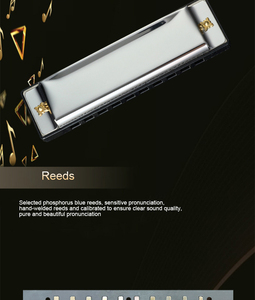 Starway Venta al por mayor Bruce 10 Hole Harmonica C Key Armonica Introducción para principiantes a jugar para niños - Product Image 5