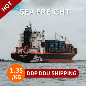 Çin'den abd'ye en iyi 10 FCL LCL <span class=keywords><strong>Ddp</strong></span> Ddu deniz kargo taşımacılığı Forwarder hırvatistan finlandiya rusya avrupa - Product Image 3
