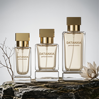 Flacon de parfum en verre personnalisé 30ml 50ml 100ml, flacon carré transparent, bouchon doré, emballage personnalisé avec logo, boîte cadeau