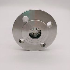 पाइपिंग फ्लैंज युग्मन के लिए दबाव गेज - Product Image 2