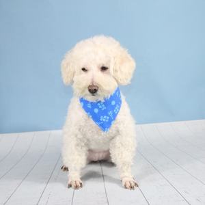 בנדנות כלבים בהתאמה אישית בצבע כחול עם הדפס פרחוני, עשויות כותנה/פוליאסטר/סאטן, לקישוט מסיבות חיות מחמד, סיטונאי, קיץ - Product Image 2