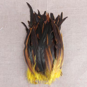 Bán Buôn Trang Trí Nội Thất Dài Tie Nhuộm Màu Đen Màu Hồng xâu chuỗi Coque Đuôi Gà Lông Tự Nhiên Dậu Lông Cho Hàng Thủ Công Trang Phục Trang Phục - Product Image 4