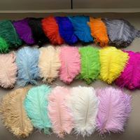 Tissu de Garniture en Plumes d'Autruche de Haute Qualité, Coloré, Lisse, Moelleux, Pas Cher, Blanc, 15-75cm, 30-35cm, Vente en Gros