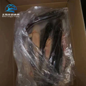 Bagre Entero Fresco o Congelado de Alta Calidad a <span class=keywords><strong>Precio</strong></span> de Mayoreo para la Venta - Product Image 6