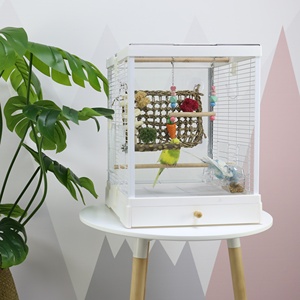 Jaula pequeña para pájaros blancos con bandeja de plástico y cierre a presión para uso en interiores - Product Image 4